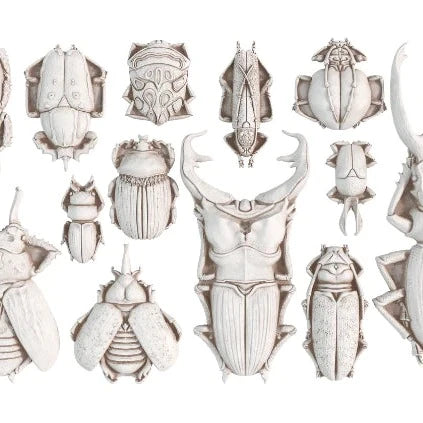 SPECIMENS 6x10 IOD DECOR MOULDS™