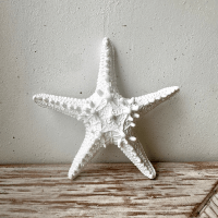 White textured starfish decor styled on rustic wood with neutral wall background, perfect for coastal-inspired interiors.