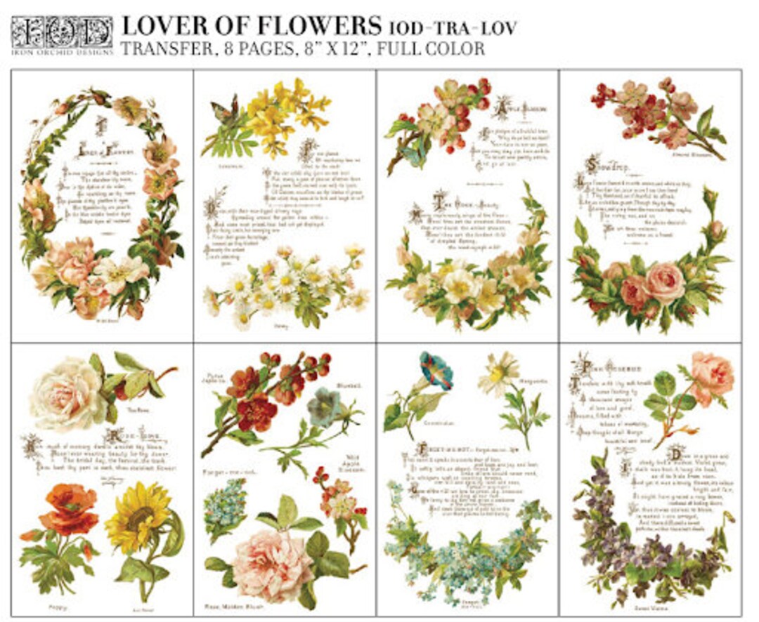 Back of the IOD Lover of Flowers Transfer packaging, showcasing eight sheets of vintage floral elements, including wreaths, botanical arrangements, and individual blooms, along with examples of completed DIY projects using the transfers on furniture, frames, and home decor