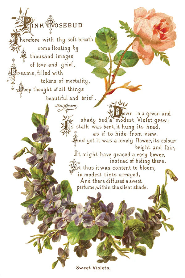IOD Lover of Flowers Transfer sheet featuring vintage-style floral designs with a pink rosebud, purple violets, and ornate poetic text in a classic script, adding an elegant botanical touch