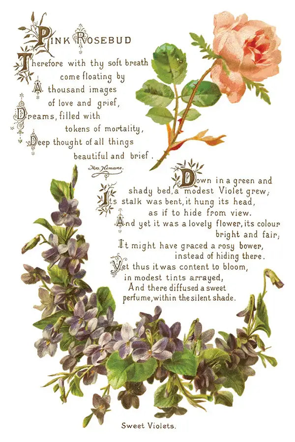 IOD Lover of Flowers Transfer sheet featuring vintage-style floral designs with a pink rosebud, purple violets, and ornate poetic text in a classic script, adding an elegant botanical touch