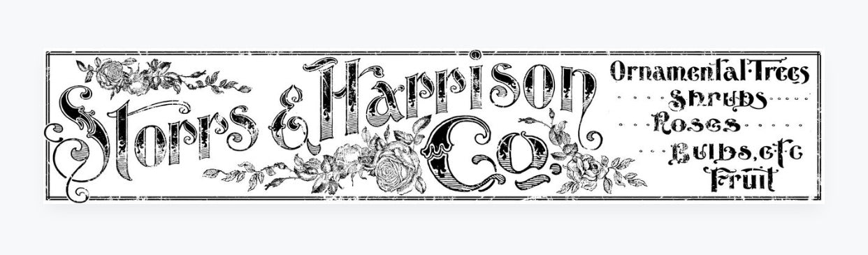 STORRES AND HARRISON 12 x 60 DECOR TRANSFER™