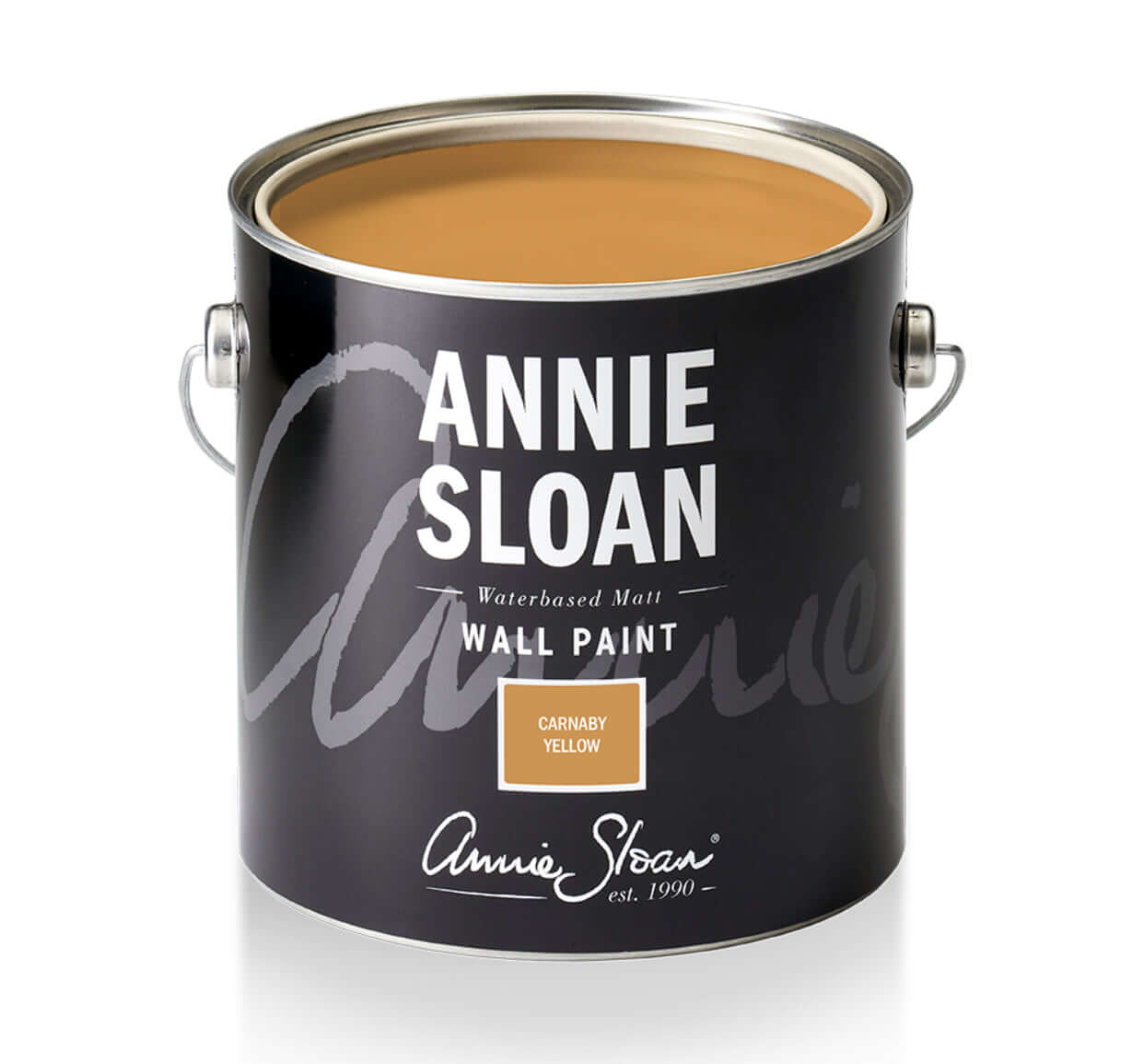 Annie Sloan Carnaby Wall Paint