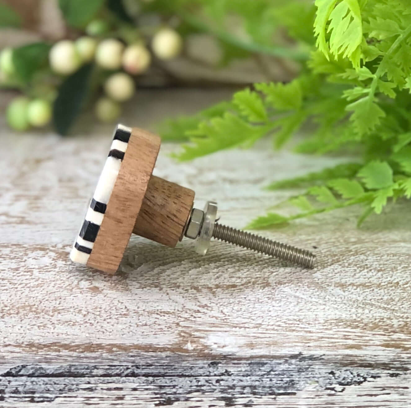 Black & Cream Cross Bone Knob