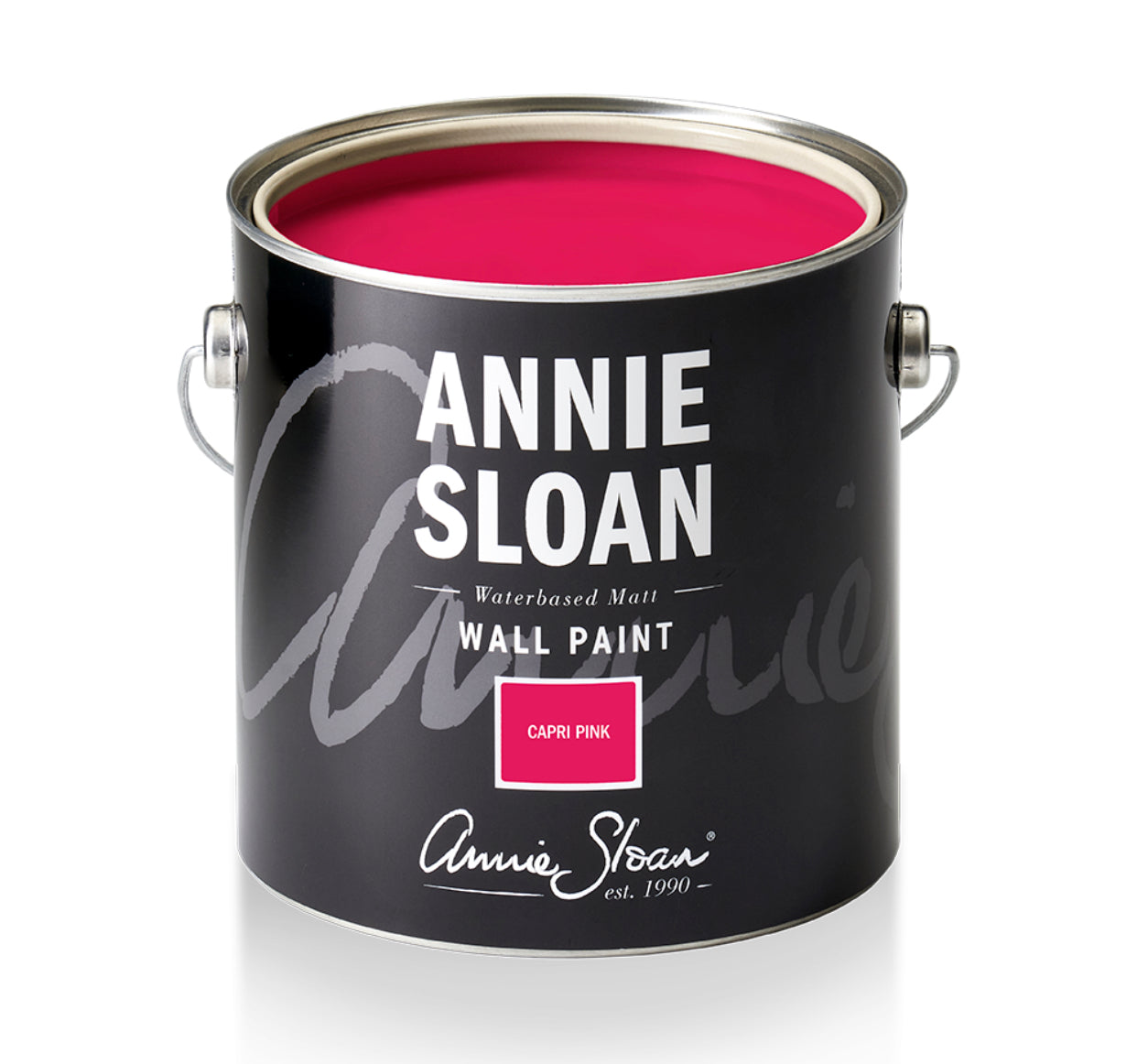 Annie Sloan Capri Pink Wall Paint
