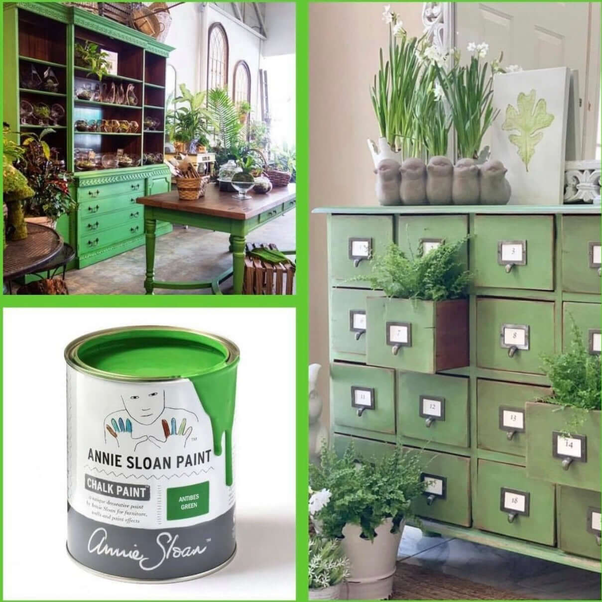 Vintage green painted kitchen dresser and apothecary drawers upcycled with Annie Sloan Chalk Paint Antibes Green, styled with indoor plants.