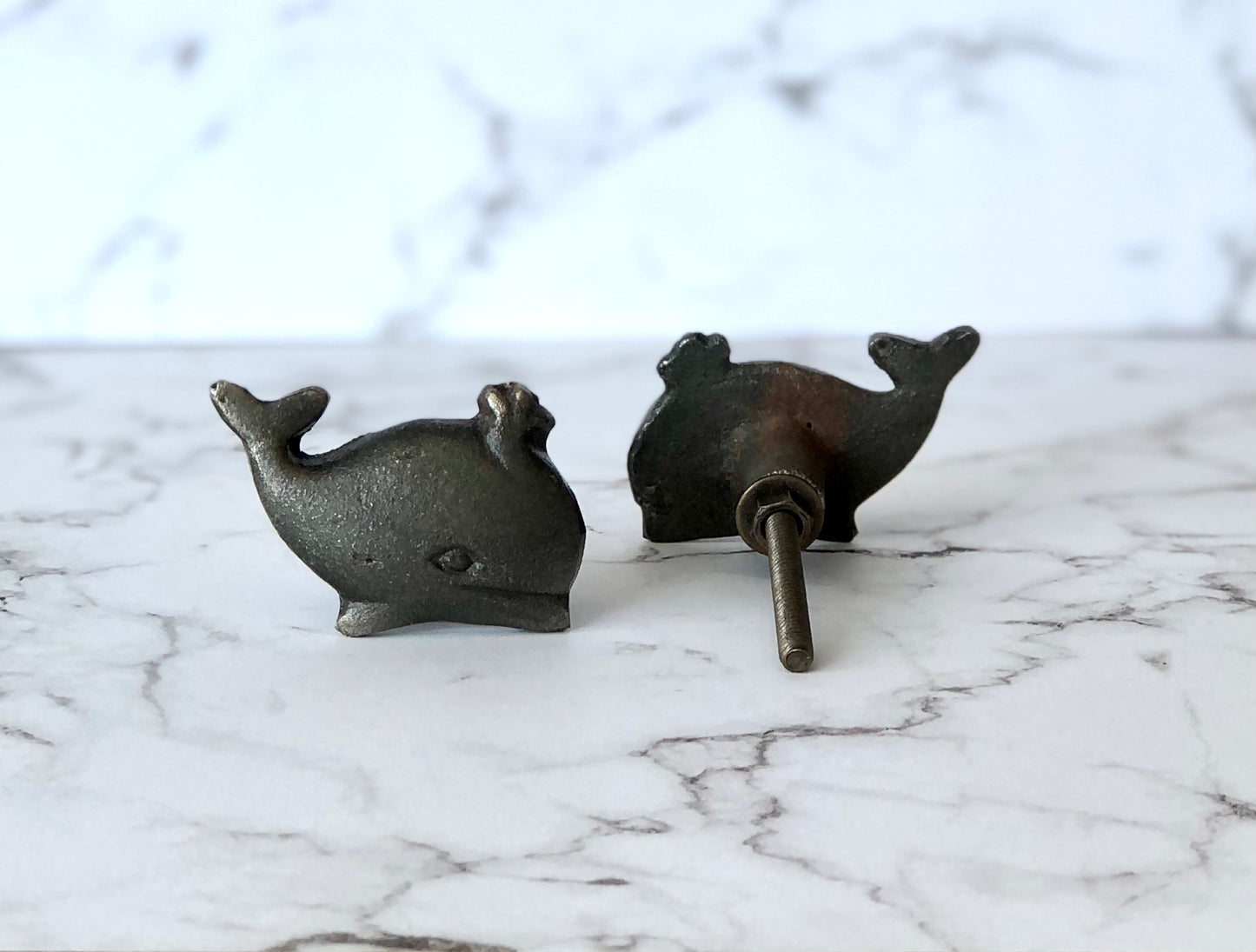 Little Whale Cabinet Knob
