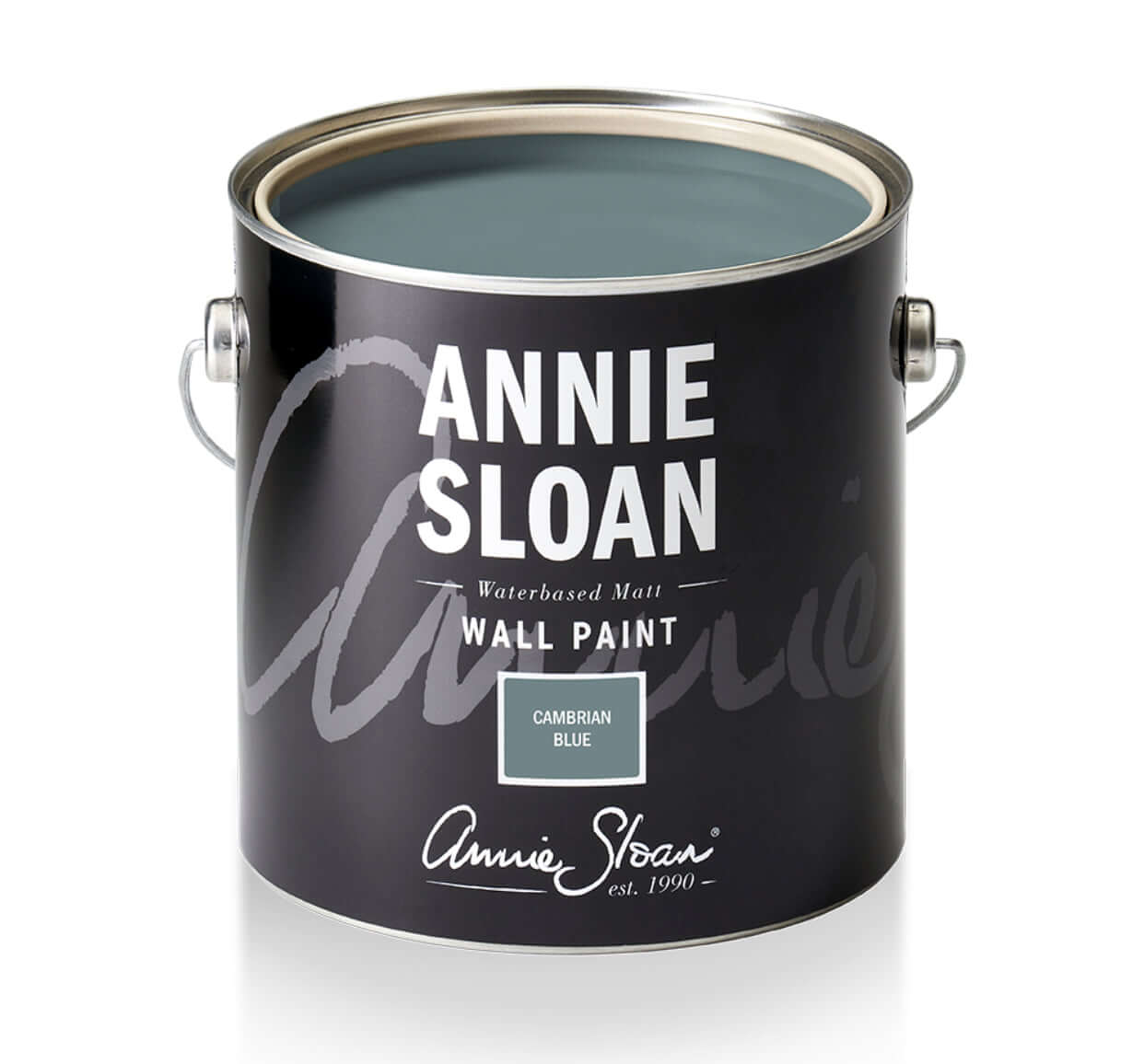 Annie Sloan Cambrian Blue Wall Paint