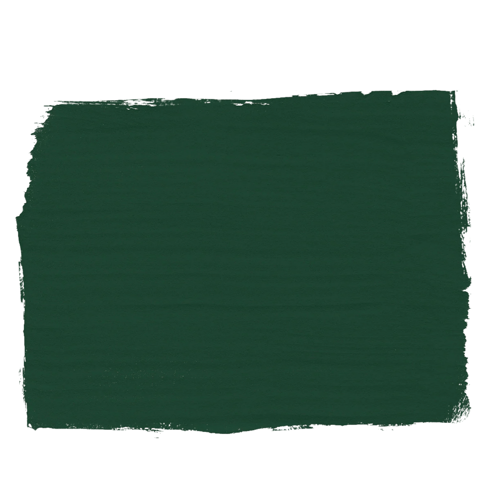 Solid dark green color swatch on a white background