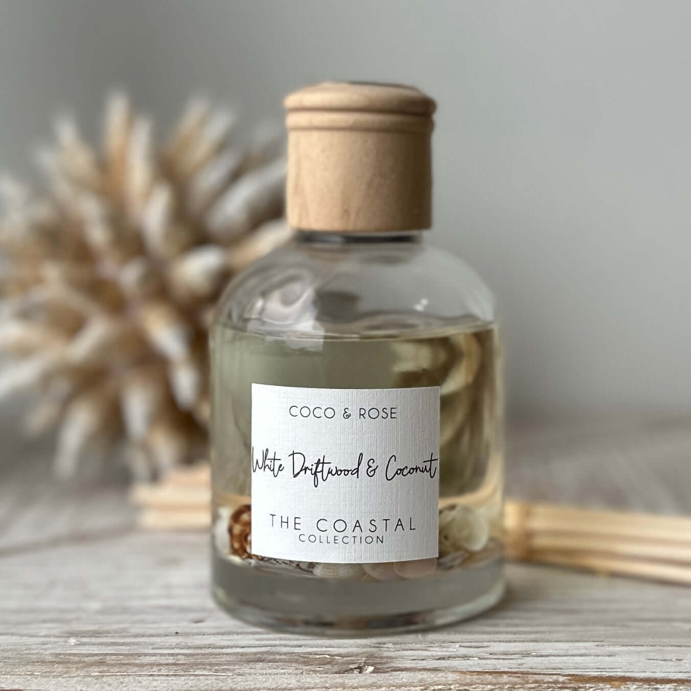 Coastal Shell Diffuser | Ocean-Inspired Home Scent – Mon Petit Palais ...