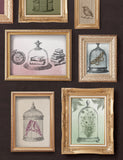 NEW - PASTICHE 12 X 12 IOD DECOR STAMP™