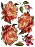 NEW IOD DECOR TRANSFERS™ Collage De Fleurs - Mon Petit Palais Designs