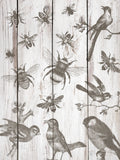 Iron Orchid Designs - Birds & Bees Decor Stamp