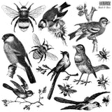 BIRDS AND BEES 12 X 12 IOD DECOR STAMP™