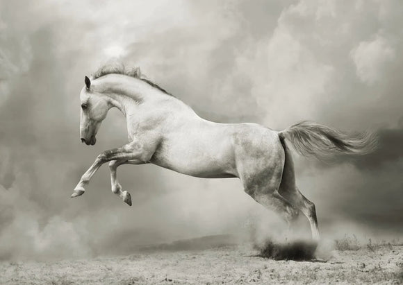 White Horse - Mint by Michelle Decoupage Paper