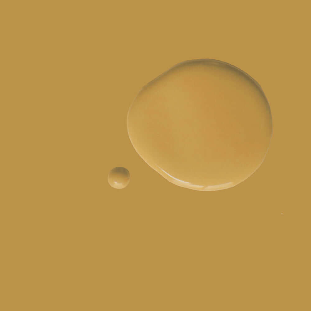 Carnaby Yellow - Annie Sloan Satin Paint showcasing rich mustard yellow paint droplets on a textured backdrop.