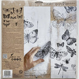 BUTTERFLIES 12×12 IOD DECOR STAMP™