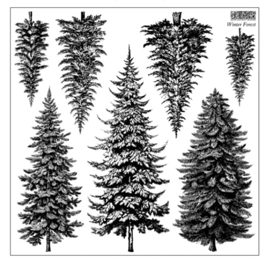 Full product image of the IOD Winter Forest Stamp featuring detailed pine and fir tree designs, arranged across a 12" x 12" single sheet, ideal for creating winter-themed crafts and decor.