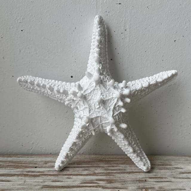 White textured starfish on a wooden surface with a grey background