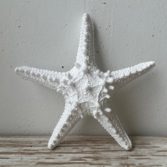 Decorative White Starfish-Coastal Style