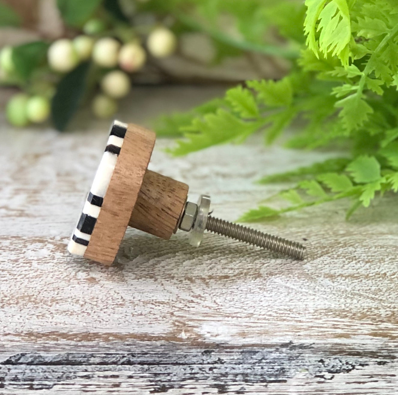 Black & Cream Cross Bone Knob