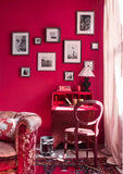 Annie Sloan Capri Pink Wall Paint