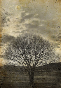 Sepia Tree - Mint by Michelle Decoupage Paper