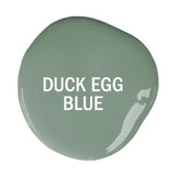 Duck Egg Blue Paint