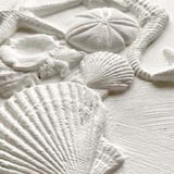 SEA SHELLS 6x10 6×10 IOD DECOR MOULDS™