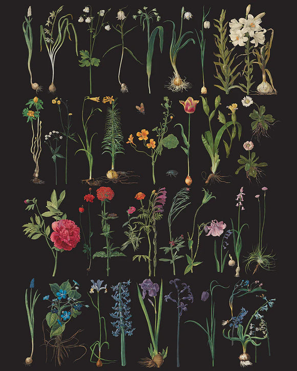 Formal Garden - Annie Sloan RHS Decoupage Paper