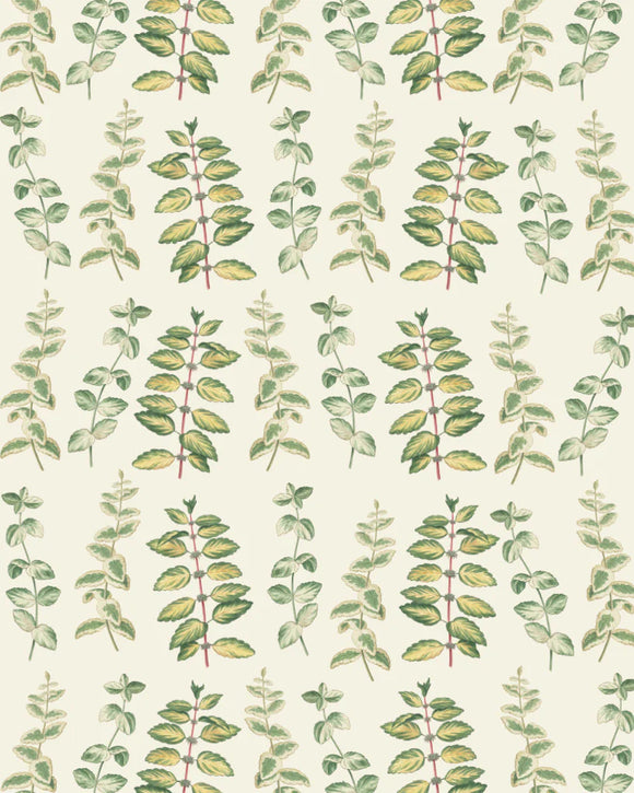 Mint - Annie Sloan RHS Decoupage Paper